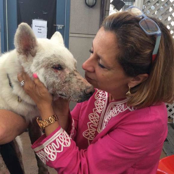 Meet your Posher, Angela - Picture 1 of 1